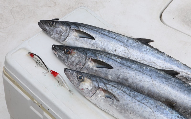Choosing the freshest Seer Fish for your weekend curry
