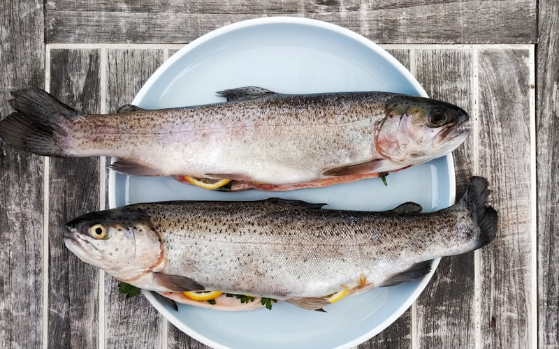 Karimeen on the plate: simple ways to check quality before you buy